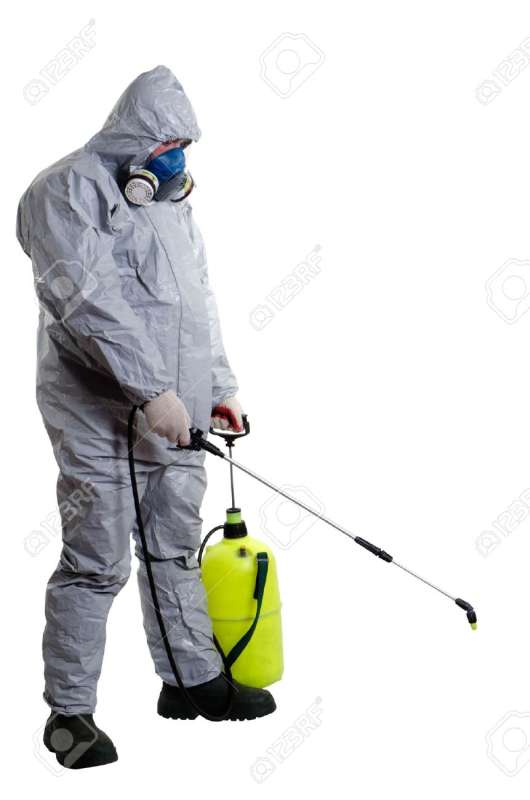 Cockroach Extermination